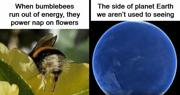 83 Hilarious Science Memes That React Faster Than Diet Coke And Mentos’ Reaction (New Pics)