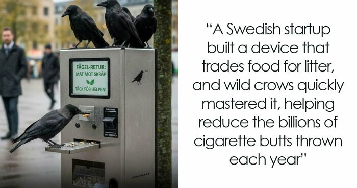 83 Hilarious Science Memes That React Faster Than Diet Coke And Mentos’ Reaction (New Pics)