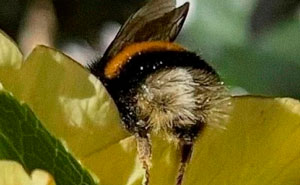 20 Divertidos memes sobre ciencia que combinan humor y conocimiento a la perfección