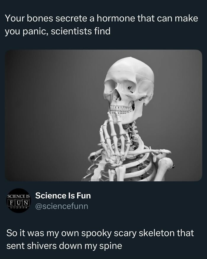 Skeleton thinking with hand on chin, illustrating a science meme about bones secreting a hormone that causes panic.