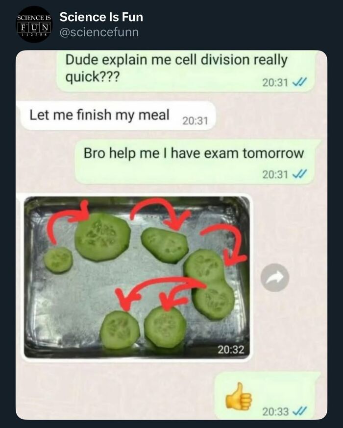 Chat conversation with cucumber slices and red arrows humorously explaining cell division, illustrating science memes and interesting posts.