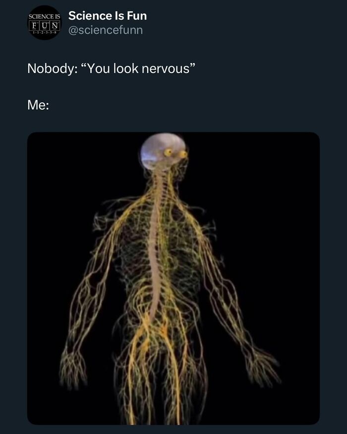 Anatomy humor showing a nervous nervous system illustration for science memes and interesting posts.