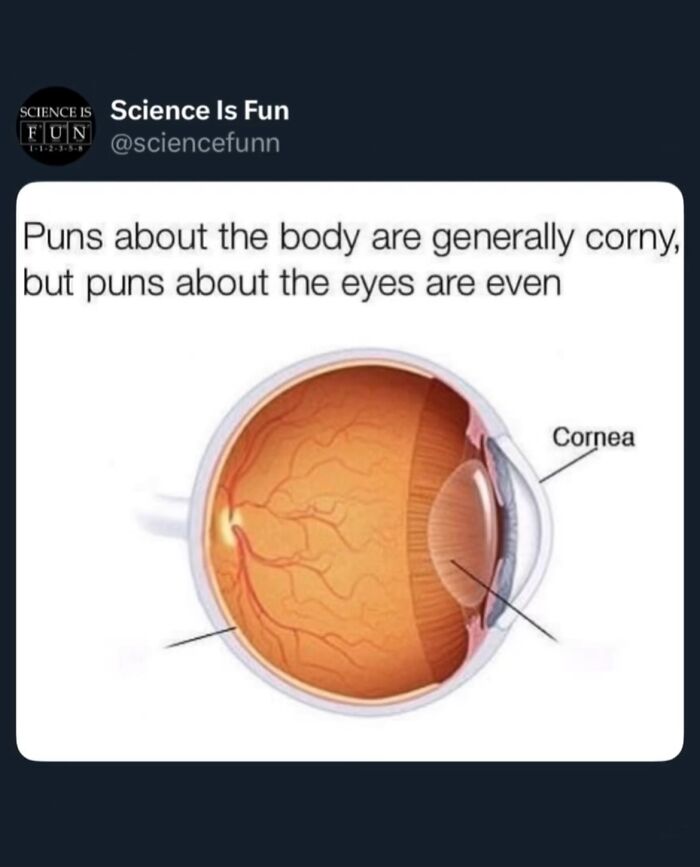 Humorous science meme showing a detailed anatomical diagram of the eye with puns about the body and eyes.