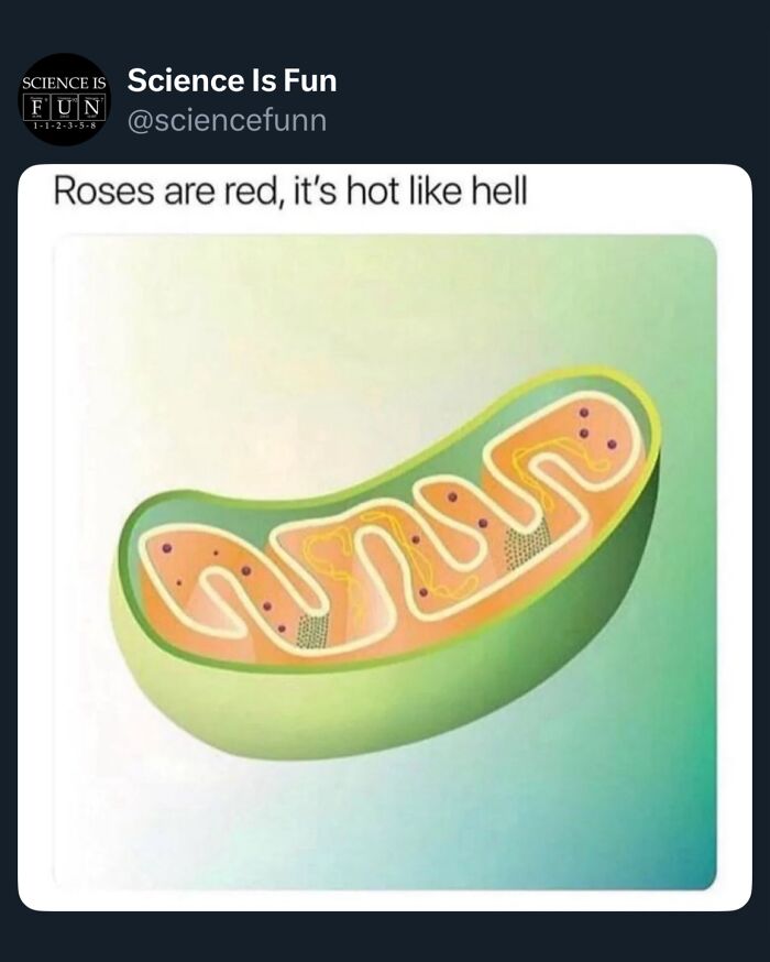 Cartoon illustration of a mitochondrion with text meme about heat, related to science and science memes.