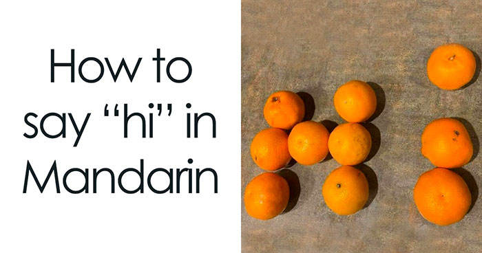 65 Funny Memes To Look At When You Need A Break From Being A Responsible Adult