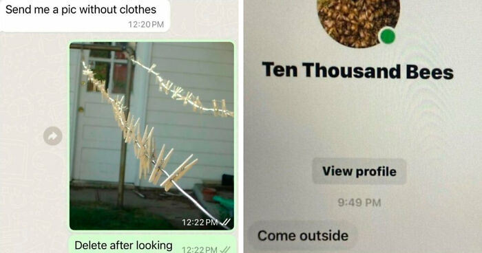 65 Funny Memes To Look At When You Need A Break From Being A Responsible Adult