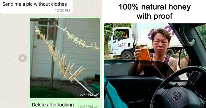 65 Funny Memes To Look At When You Need A Break From Being A Responsible Adult