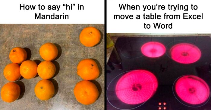 65 Funny Memes To Look At When You Need A Break From Being A Responsible Adult