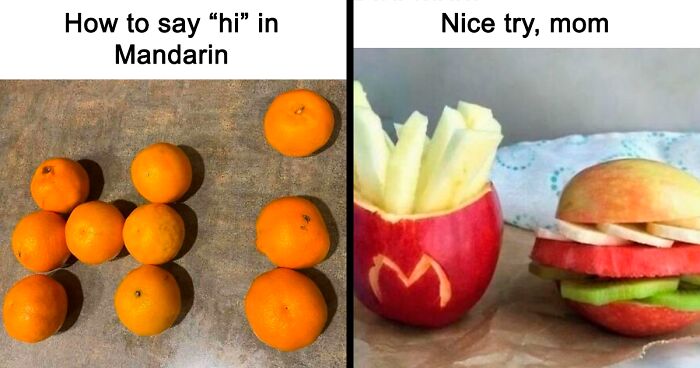 65 Funny Memes To Look At When You Need A Break From Being A Responsible Adult