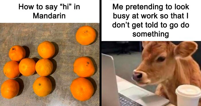 65 Funny Memes To Look At When You Need A Break From Being A Responsible Adult