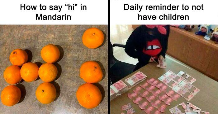 65 Funny Memes To Look At When You Need A Break From Being A Responsible Adult