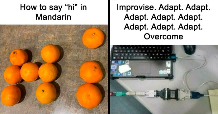 65 Funny Memes To Look At When You Need A Break From Being A Responsible Adult