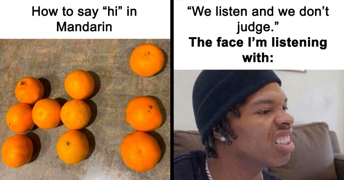 65 Funny Memes To Look At When You Need A Break From Being A Responsible Adult