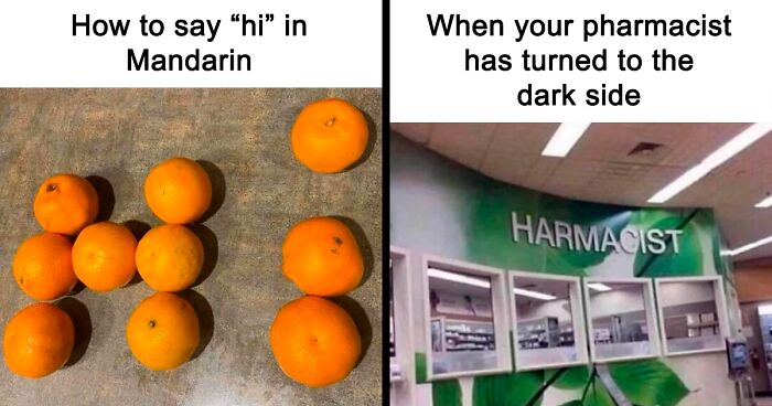 65 Funny Memes To Look At When You Need A Break From Being A Responsible Adult