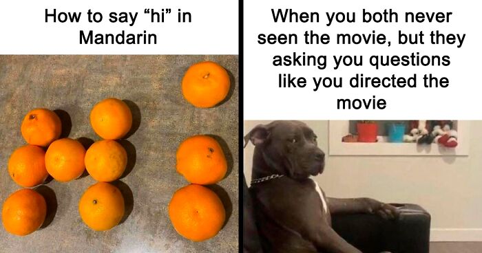 65 Funny Memes To Look At When You Need A Break From Being A Responsible Adult