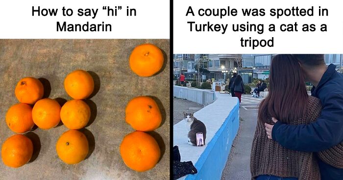 65 Funny Memes To Look At When You Need A Break From Being A Responsible Adult