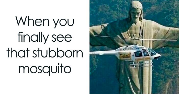 65 Funny Memes To Look At When You Need A Break From Being A Responsible Adult