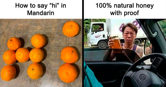 65 Funny Memes To Look At When You Need A Break From Being A Responsible Adult