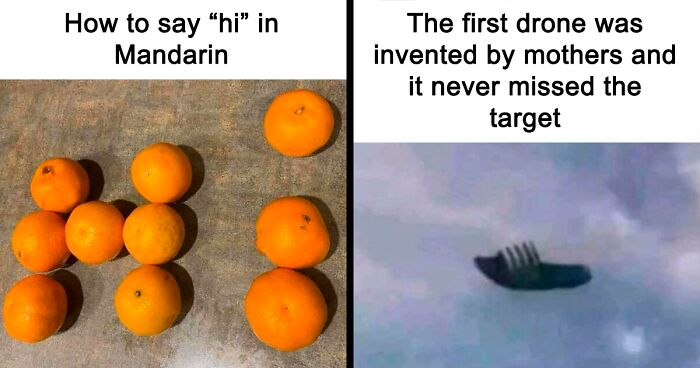 65 Funny Memes To Look At When You Need A Break From Being A Responsible Adult