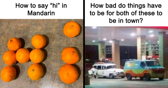 65 Funny Memes To Look At When You Need A Break From Being A Responsible Adult