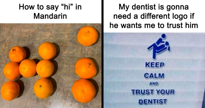 65 Funny Memes To Look At When You Need A Break From Being A Responsible Adult