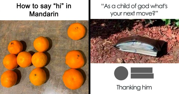 65 Funny Memes To Look At When You Need A Break From Being A Responsible Adult