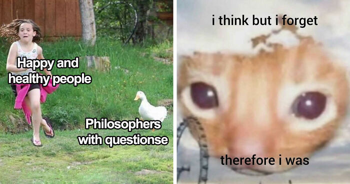 89 Philosophy Memes That Won’t Cure Your Existential Dread But Can At Least Make You Chuckle