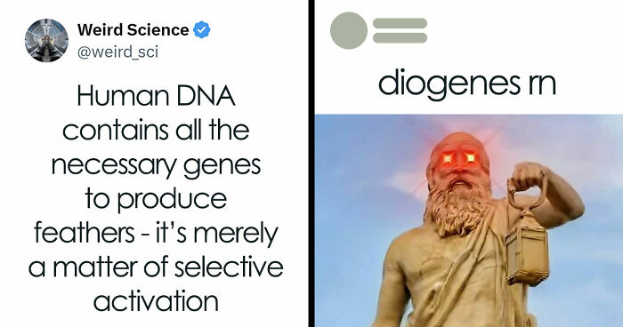 89 Philosophy Memes That Won’t Cure Your Existential Dread But Can At Least Make You Chuckle