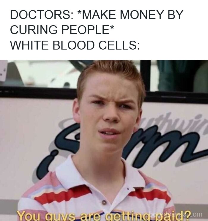 Confused young man meme illustrating white blood cells' reaction to doctors making money curing people tired of it all.