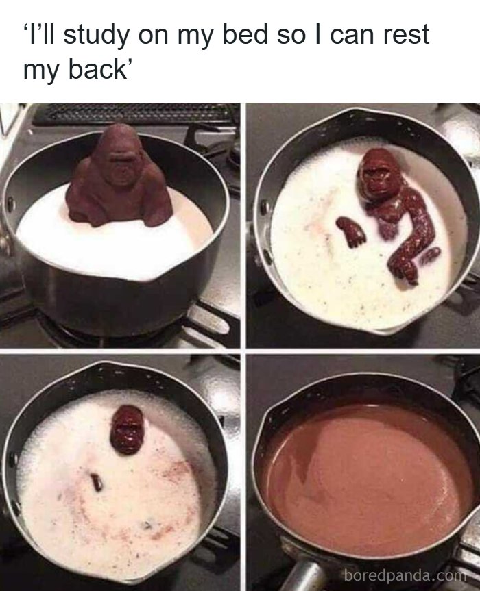 Chocolate gorilla figure melting in milk in a pan, illustrating a funny meme for doctors or patients tired of it all.