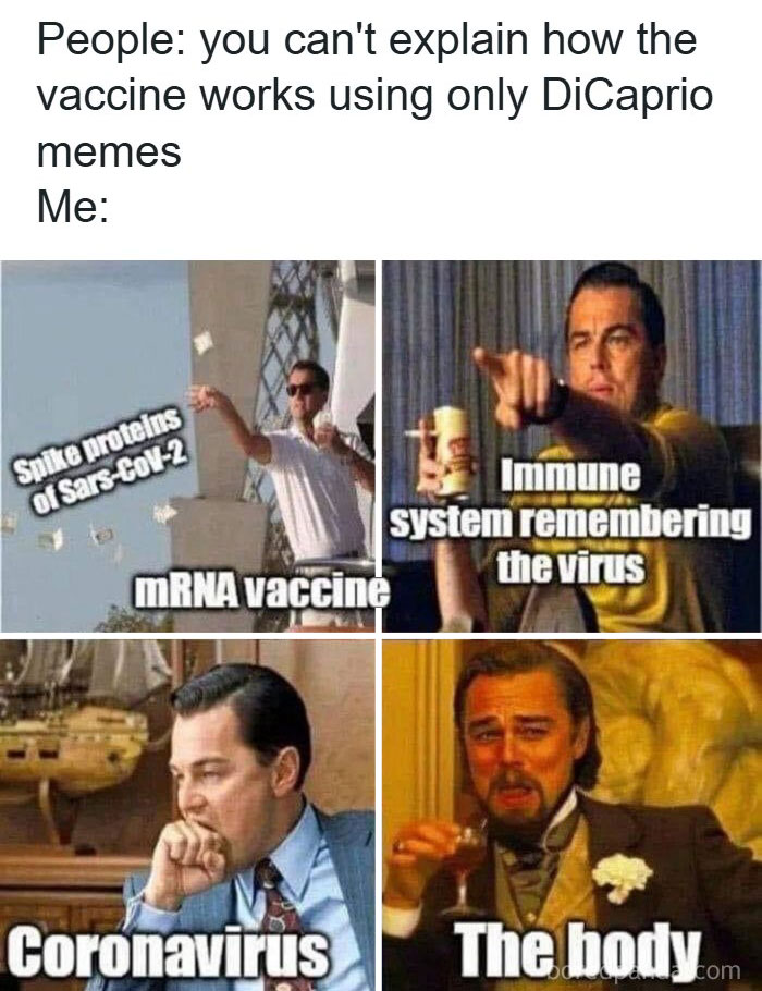 Meme collage featuring Leonardo DiCaprio scenes explaining mRNA vaccine, immune system, coronavirus, and body for doctor memes.