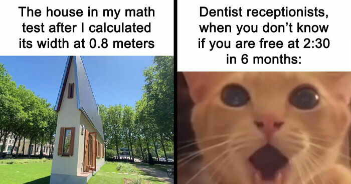 57 Memes To Make You Laugh At The Most Random Mundane Things