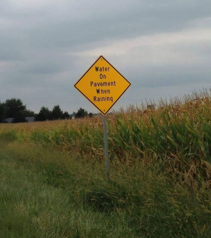 Humorous warning sign in a rural area stating water on pavement when raining, inspiring laughs and double takes.