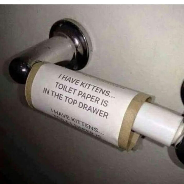 Empty toilet paper roll with a note about kittens and toilet paper humor from funny signs that make people laugh.