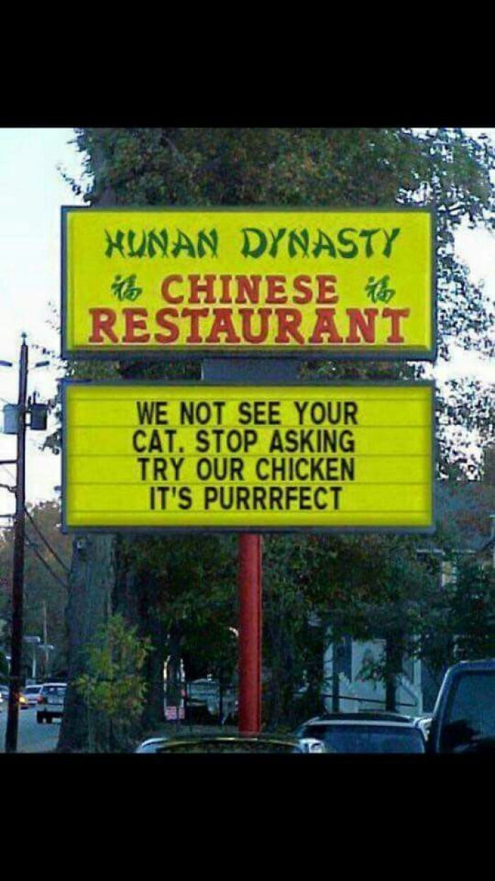 Hunan Dynasty Chinese restaurant sign with funny message about not seeing cats and promoting chicken dish.