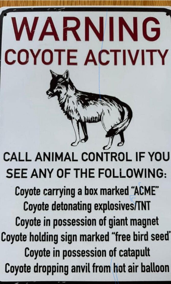 Funny warning sign about coyote activity with humorous instructions to call animal control for unusual coyote behavior.