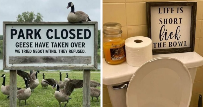 “We’re Tired Of Hiding The Bodies”: 73 Signs That Made People Laugh Or Do A Double Take