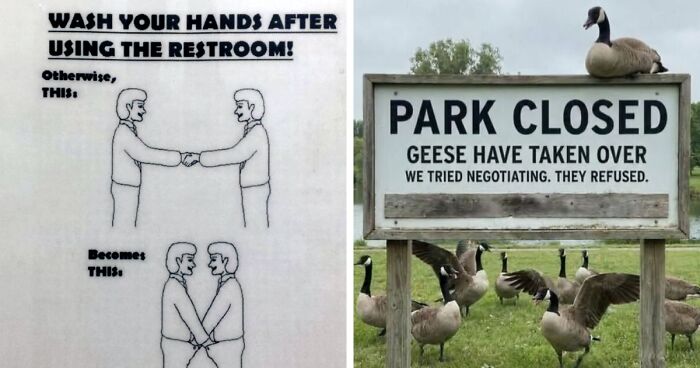 “We’re Tired Of Hiding The Bodies”: 73 Signs That Made People Laugh Or Do A Double Take