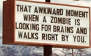 73 Hilarious And Silly Signs That Definitely Caught People’s Attention