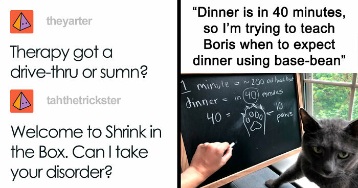 87 Hilarious Tumblr Posts That Prove The Site Is Still Unapologetically Brilliant