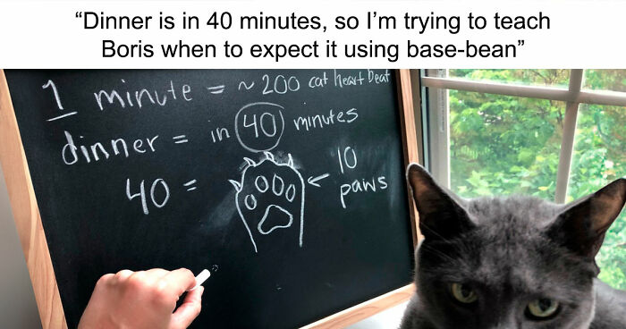 87 Hilarious Tumblr Posts That Prove The Site Is Still Unapologetically Brilliant