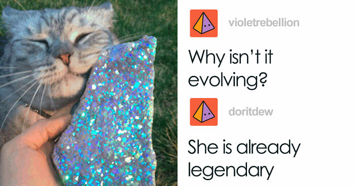 87 Hilarious Tumblr Posts That Prove The Site Is Still Unapologetically Brilliant