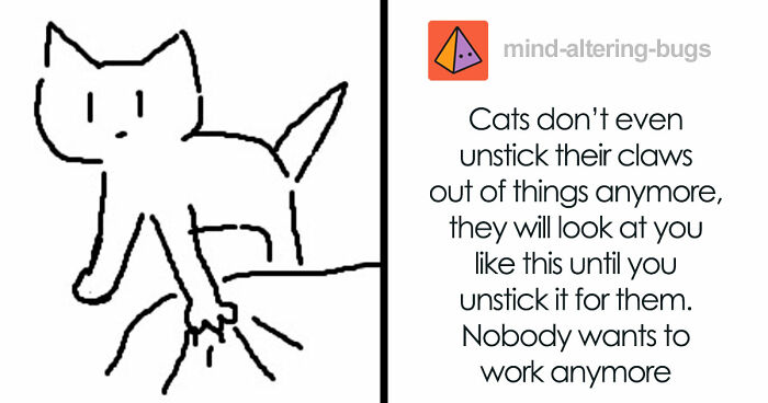 87 Hilarious Tumblr Posts That Prove The Site Is Still Unapologetically Brilliant