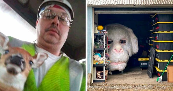 61 Amusing But Also Concerning Things People Shared In Facebook Groups