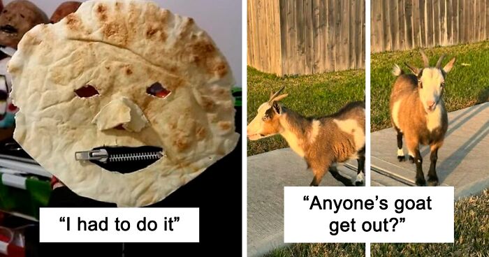 61 Amusing But Also Concerning Things People Shared In Facebook Groups