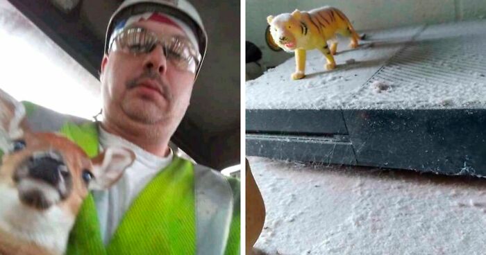 61 Amusing But Also Concerning Things People Shared In Facebook Groups