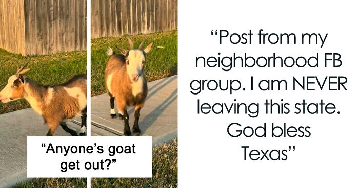 61 Amusing But Also Concerning Things People Shared In Facebook Groups