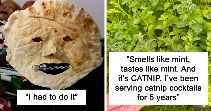61 Amusing But Also Concerning Things People Shared In Facebook Groups