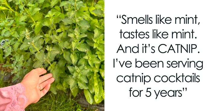 61 Amusing But Also Concerning Things People Shared In Facebook Groups