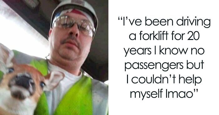 61 Amusing But Also Concerning Things People Shared In Facebook Groups